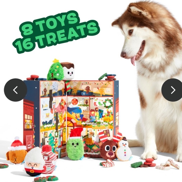 Bark Box Advent Calendar for dogs! includes 8 dog toys & 16 treats! LAST ONE!